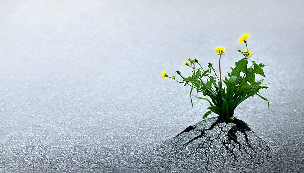 7 Killer habits to be unstoppable in 2023!