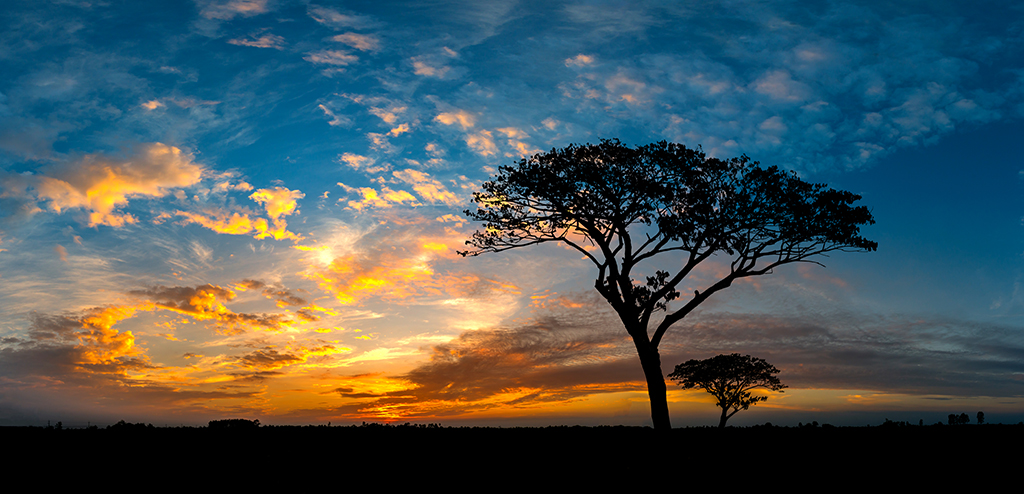 Photographing Sunset
