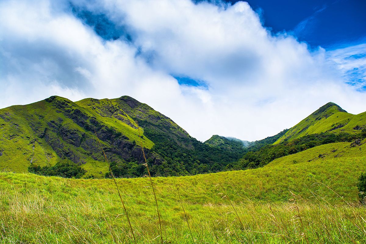 Wayanad Tourism